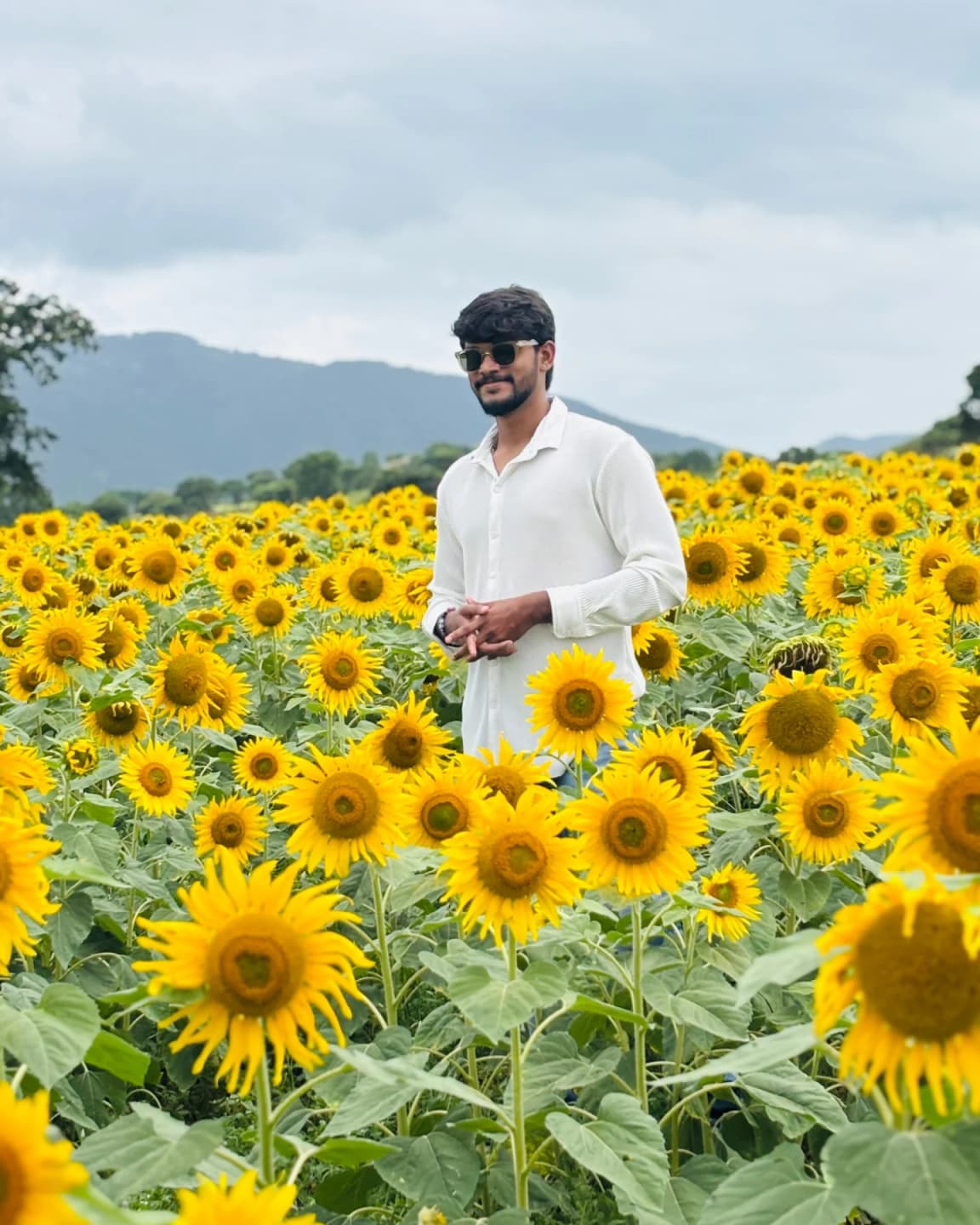 🌻