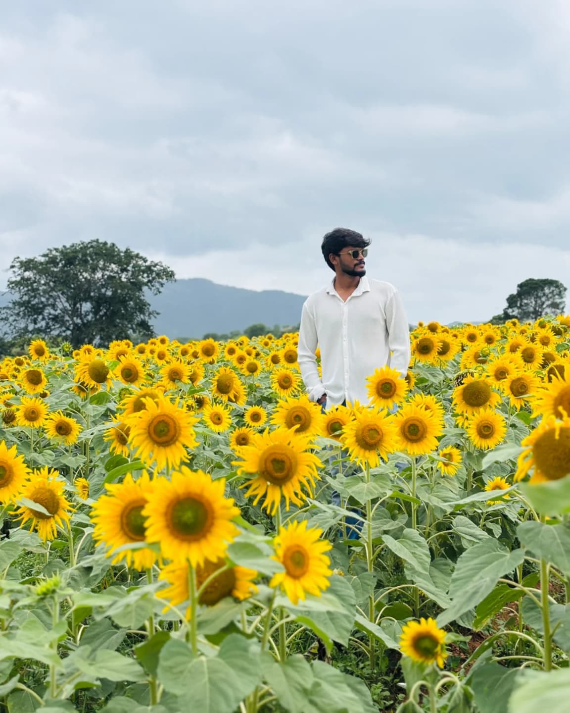 🌻 2