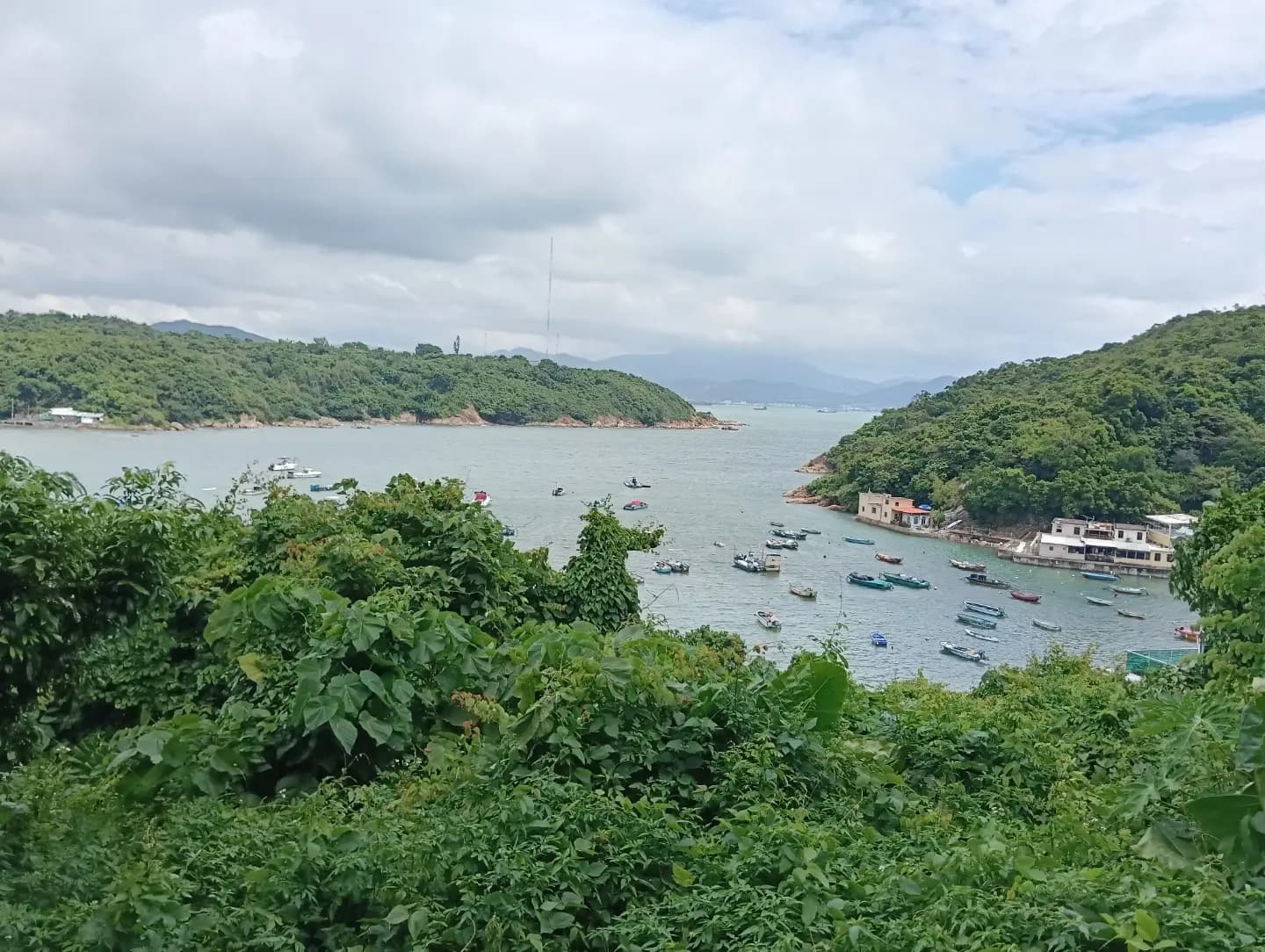 Peng Chau Ramble with Dad's Group 8