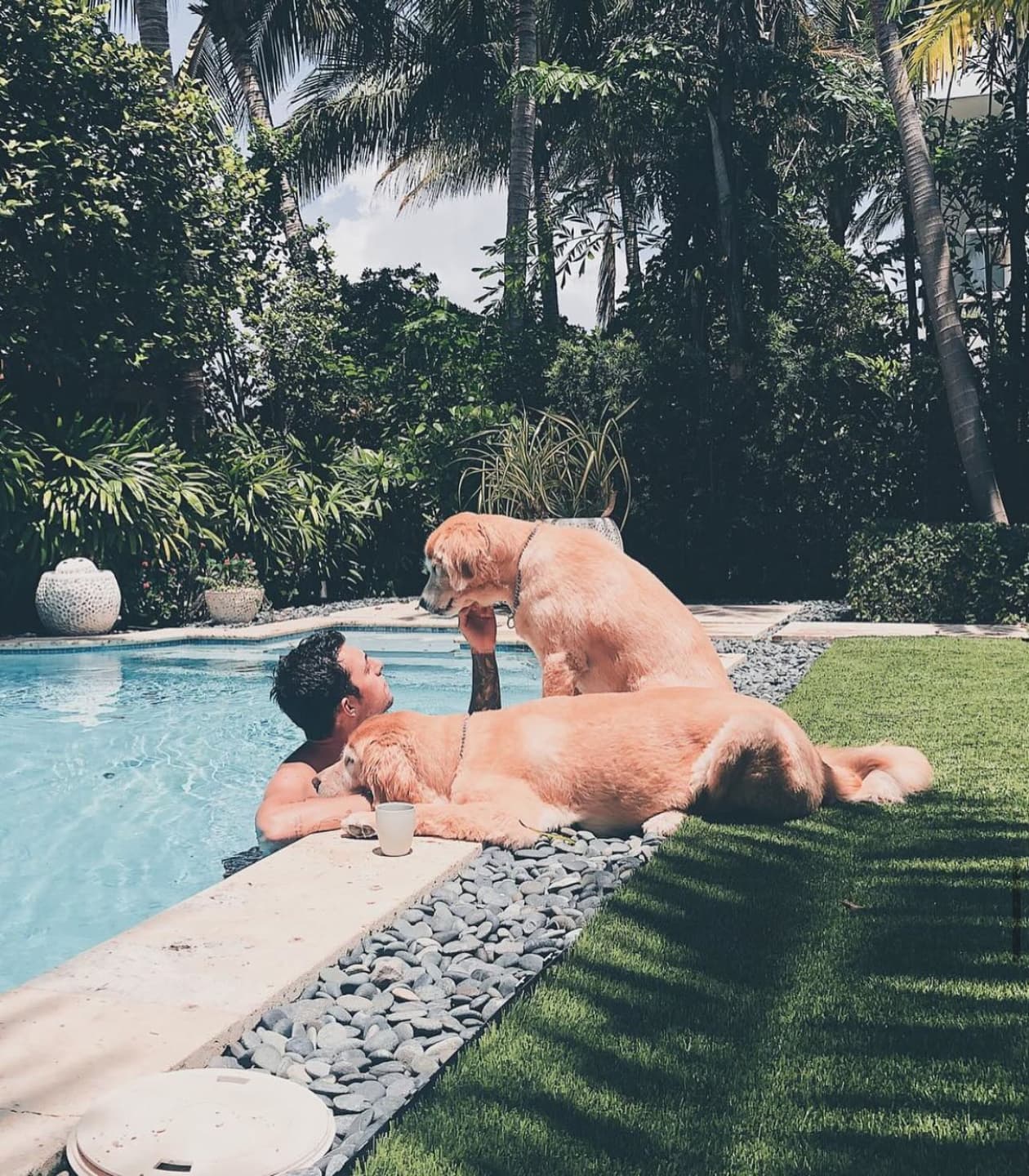 Gold Coast Beach Day with My Pups
