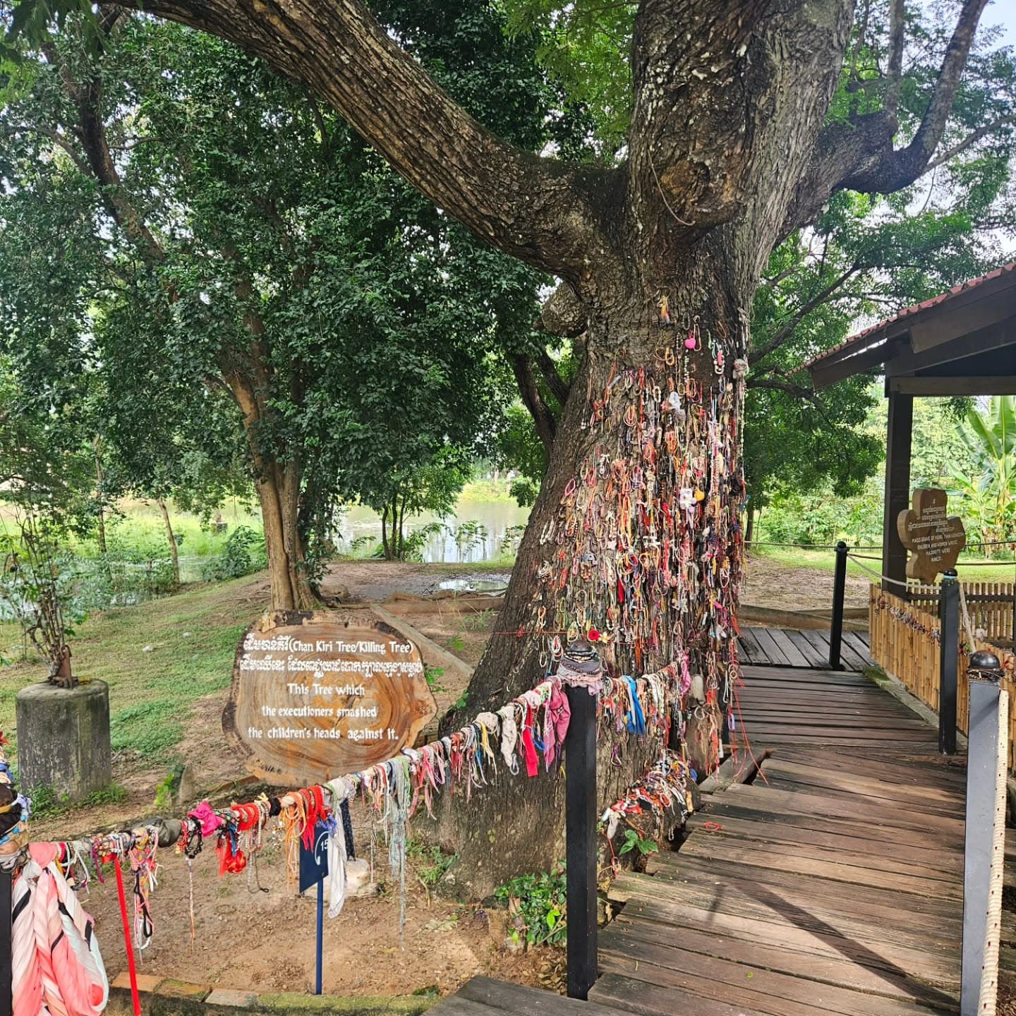 Cambodia: A Journey Through History and Beauty 4