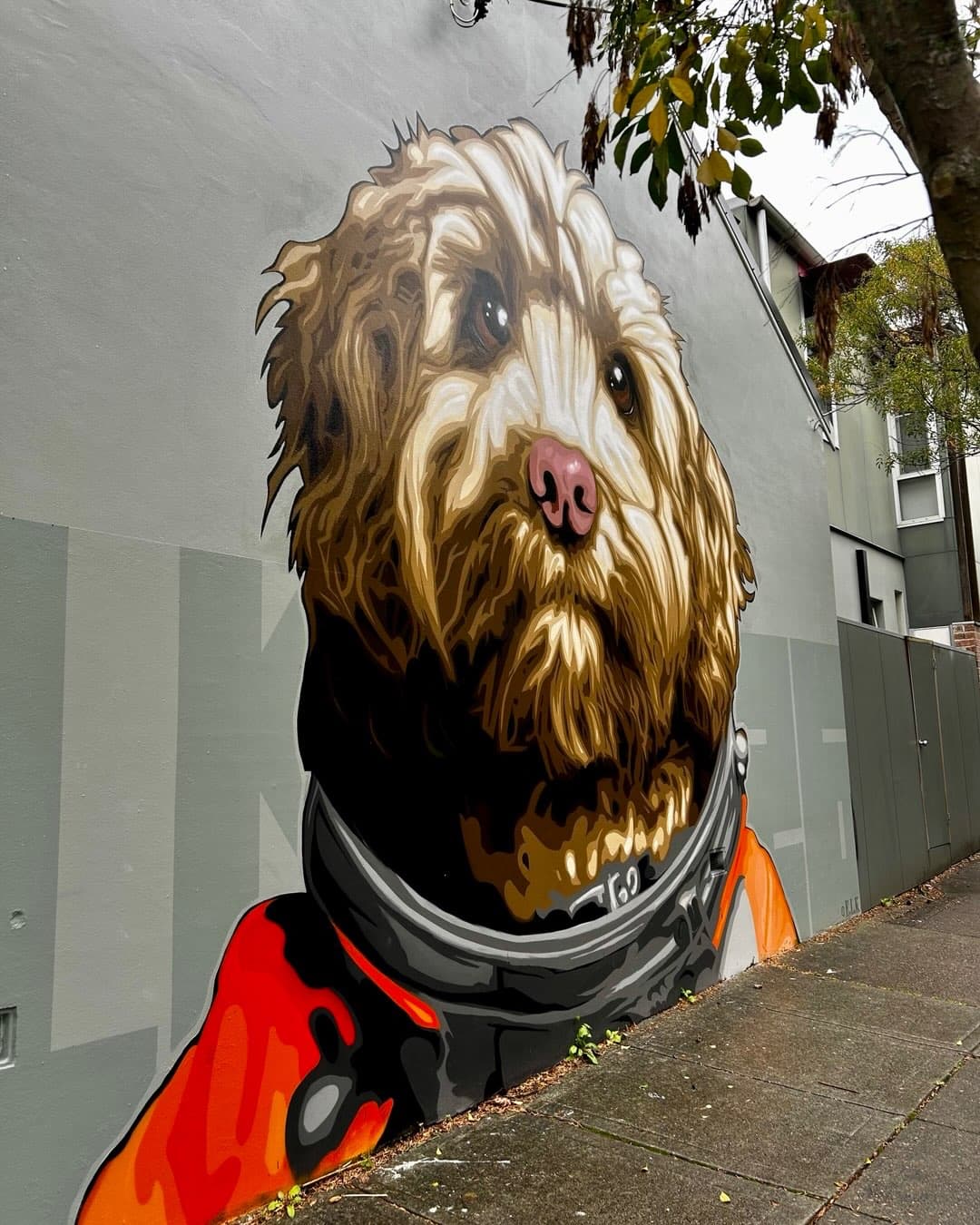 Newtown