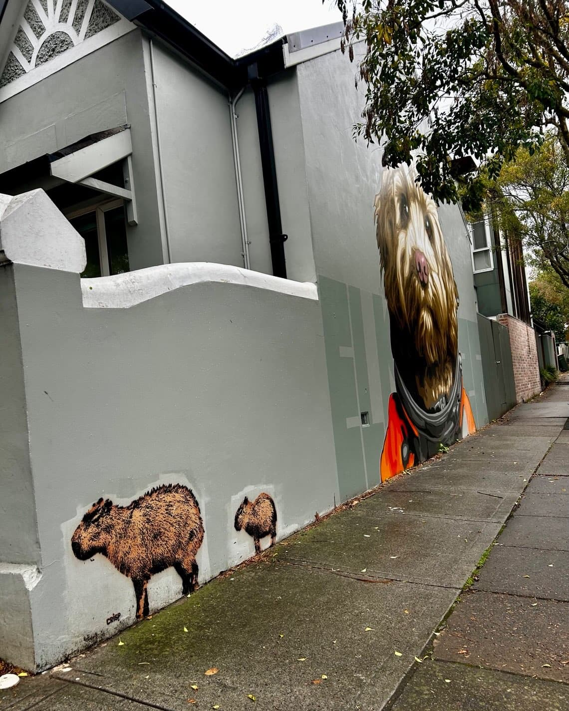 Newtown 3