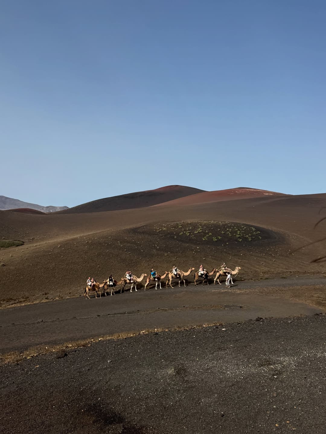 a trip to Mars 5