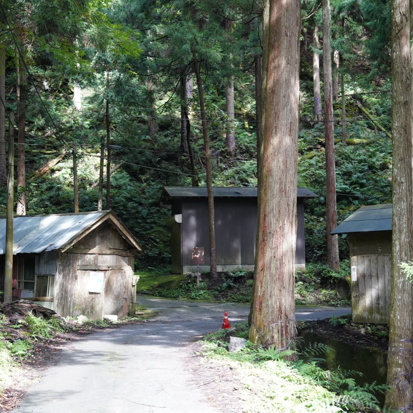 Mount Ryōzen Hike and Hikone Castle 2