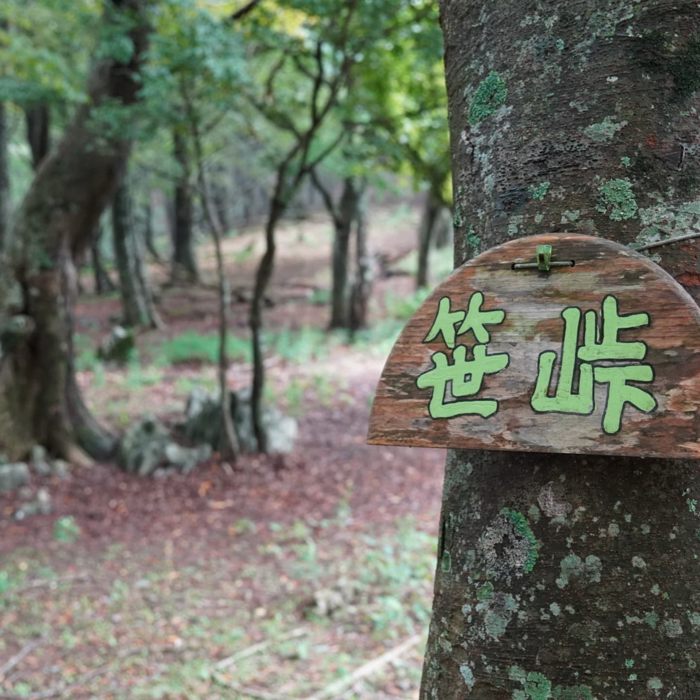 Mount Ryōzen Hike and Hikone Castle 7