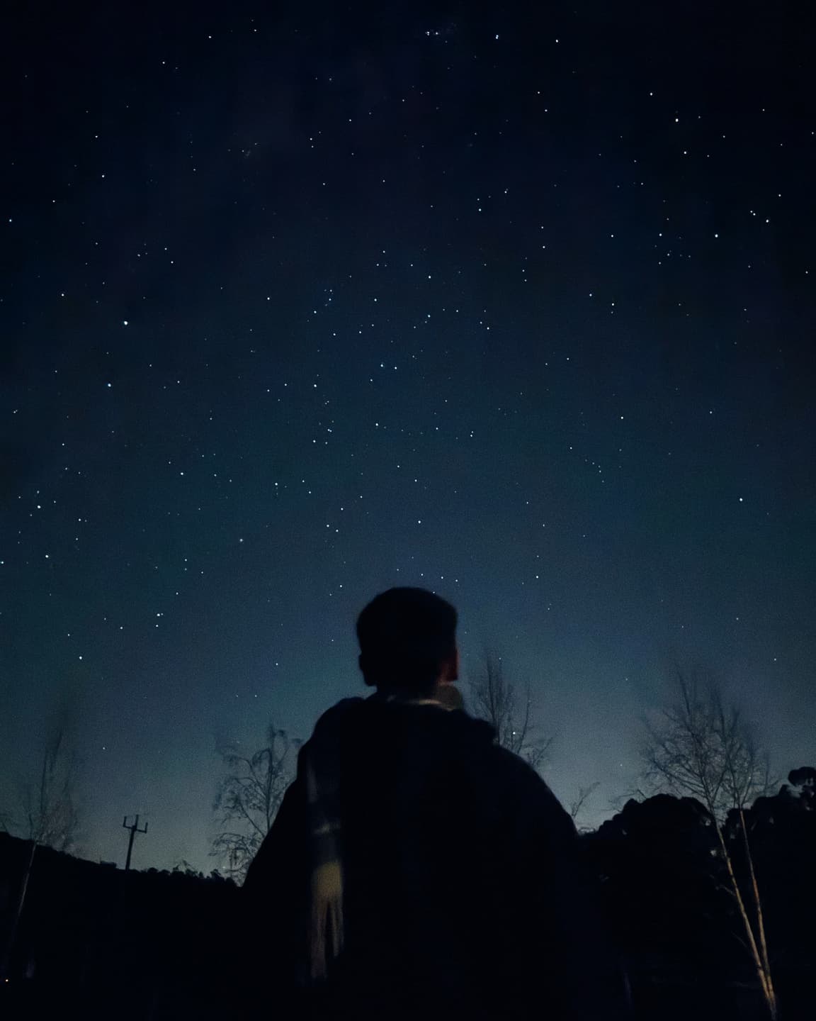 🎞️🦦🌾 2