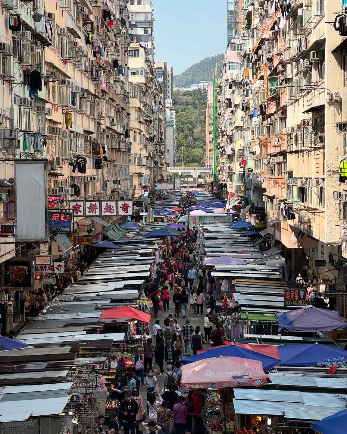 This city is a nightmare. I'm so sick of the constant noise and traffic. It's impossible 3