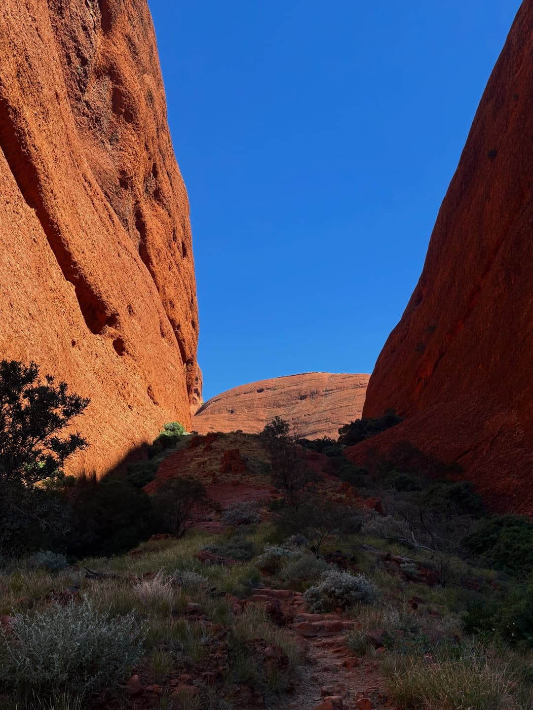 Uluru & Kata Tjuta: Days 3 & 4 2