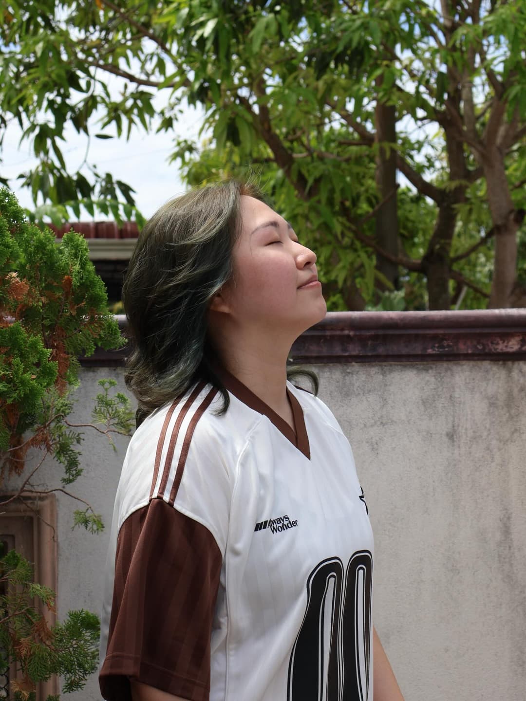 Aurelian 🐎🧧 8