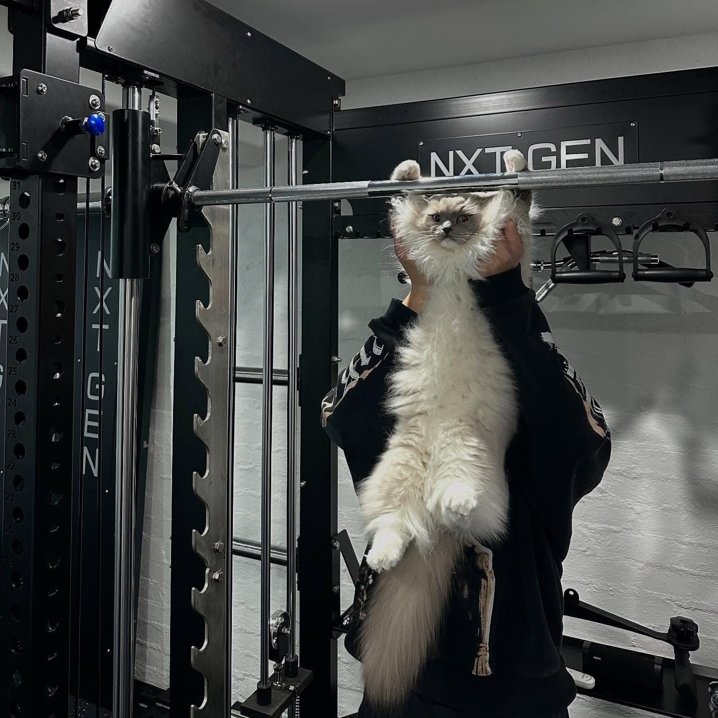 💪💪