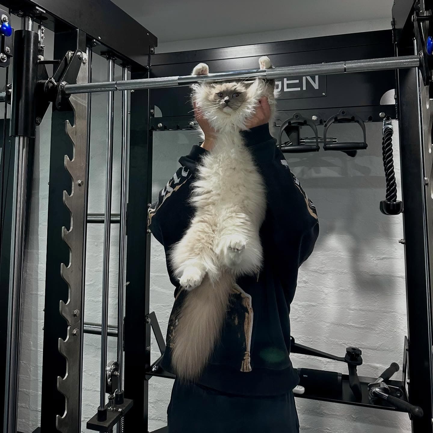 💪💪 2