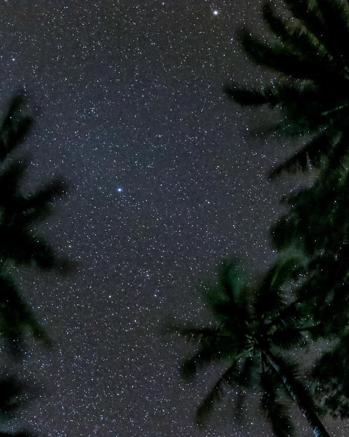 Tutuala Coconut Camping Map 2