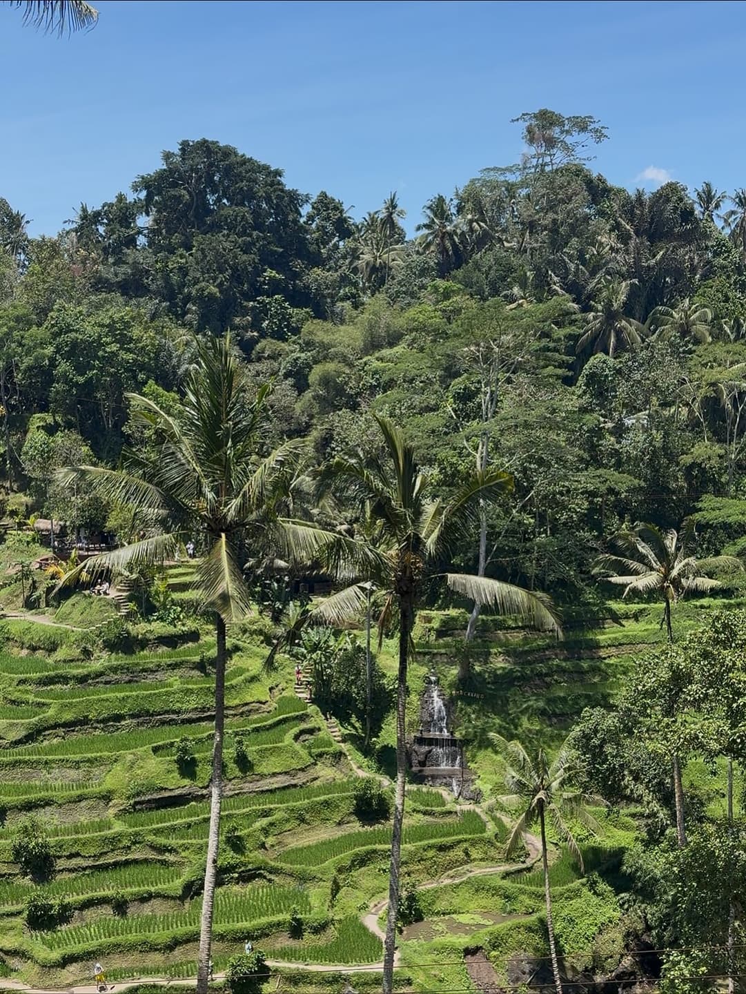 Indonesian Holiday 5