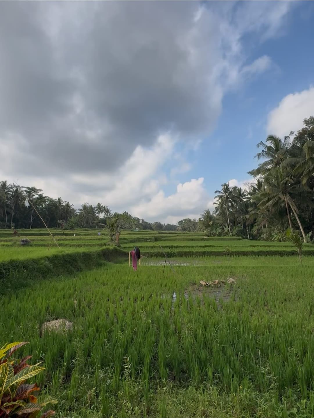 Indonesian Holiday 7