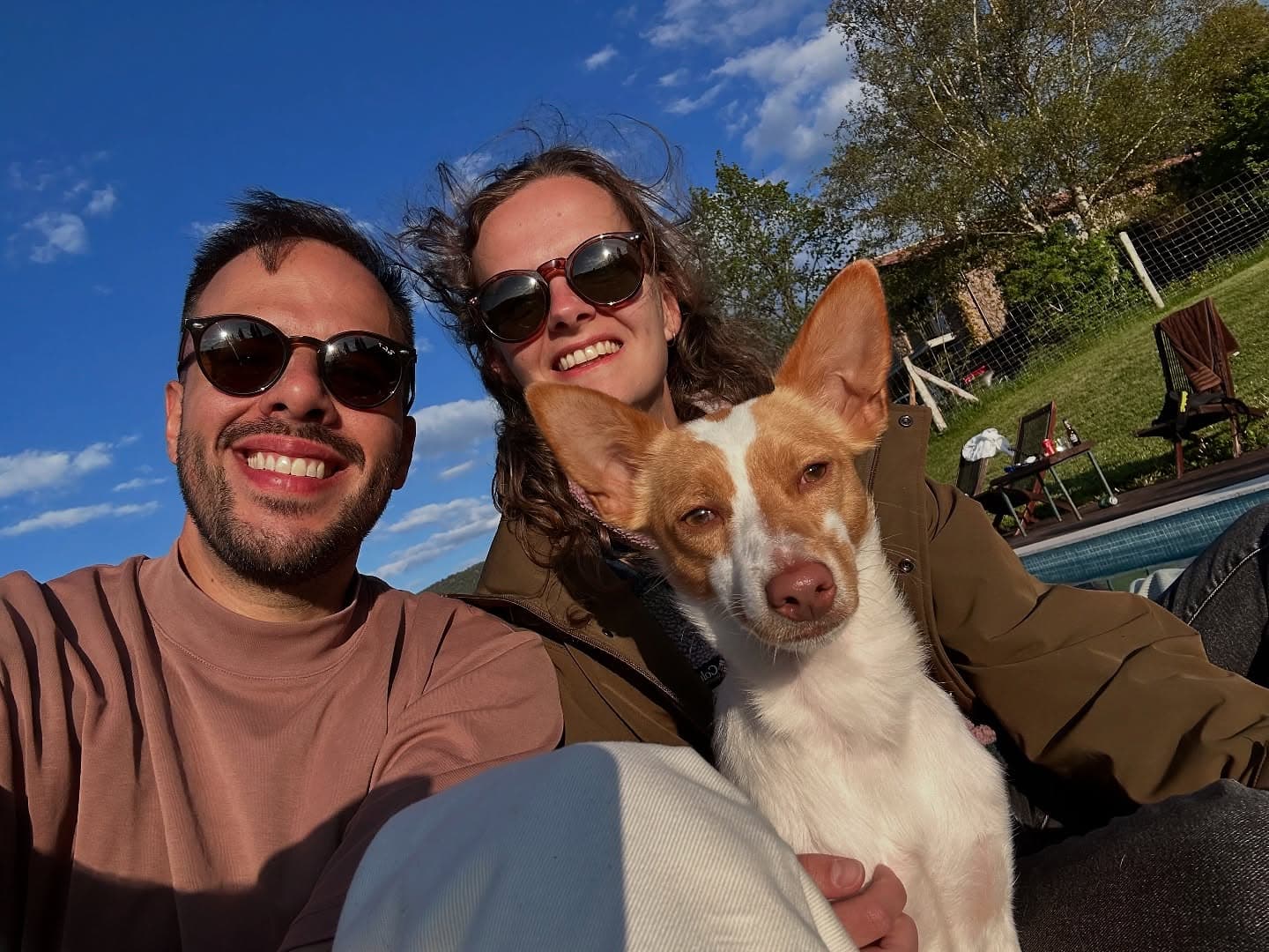 34 - 🥰🐕🍃🌞