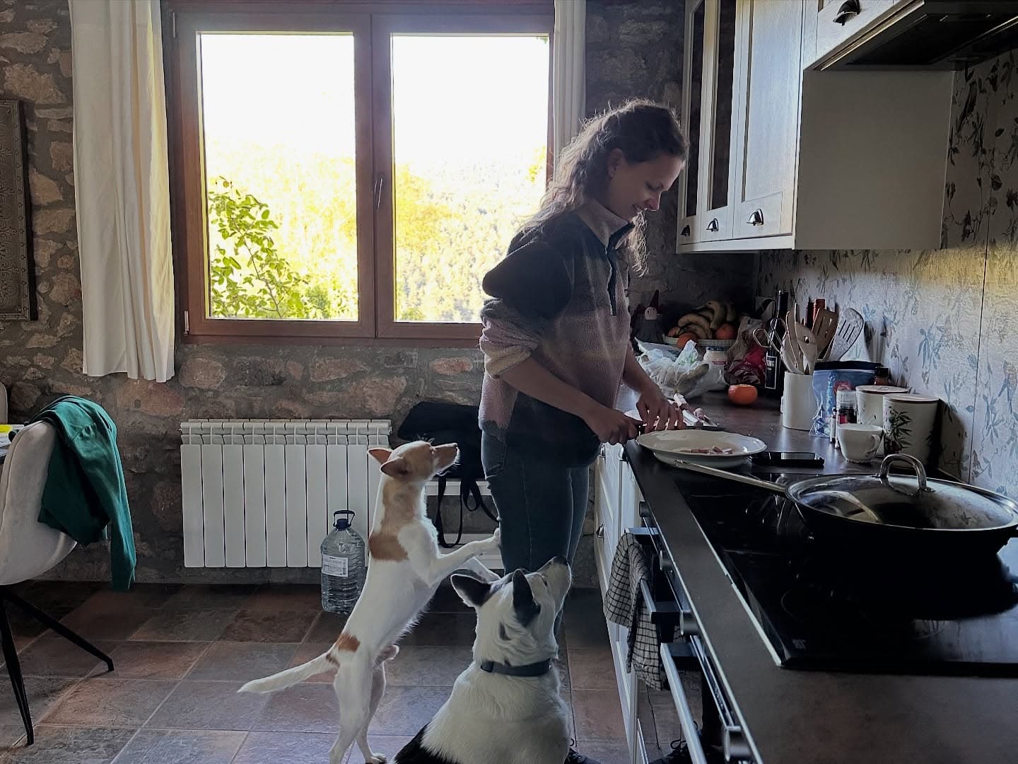 34 - 🥰🐕🍃🌞 5