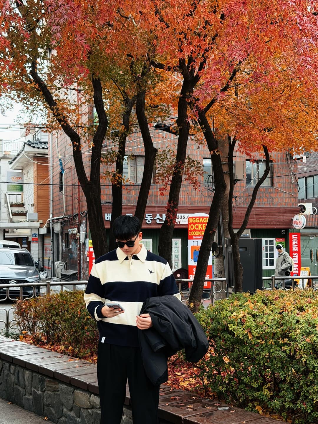 🍂 🍂 🍂