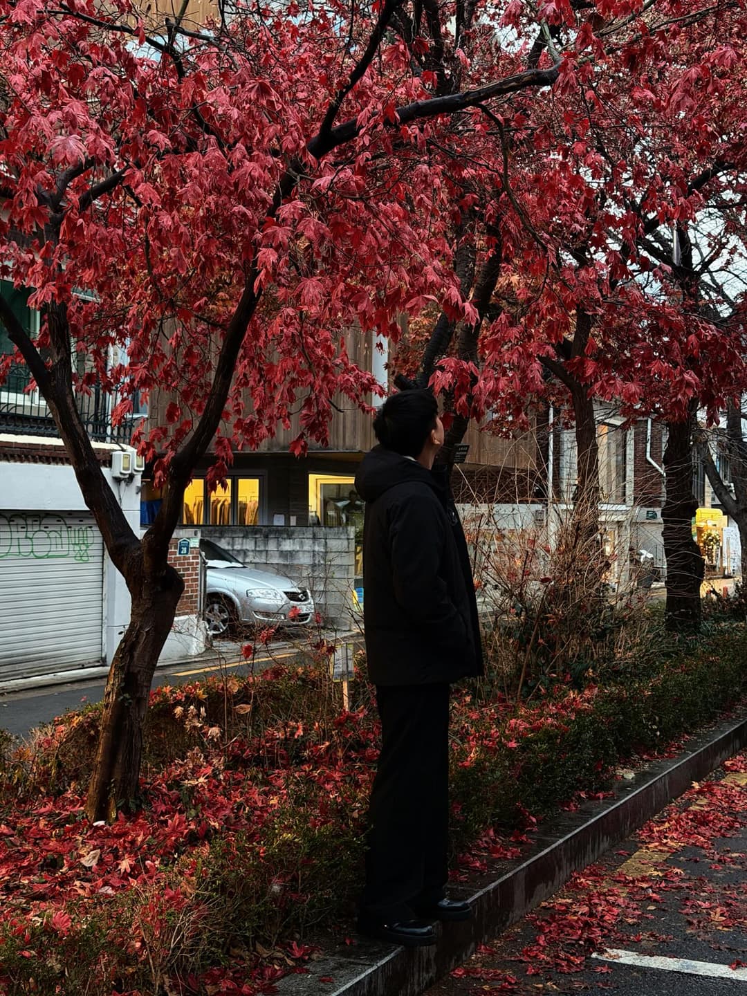 🍂 🍂 🍂 3