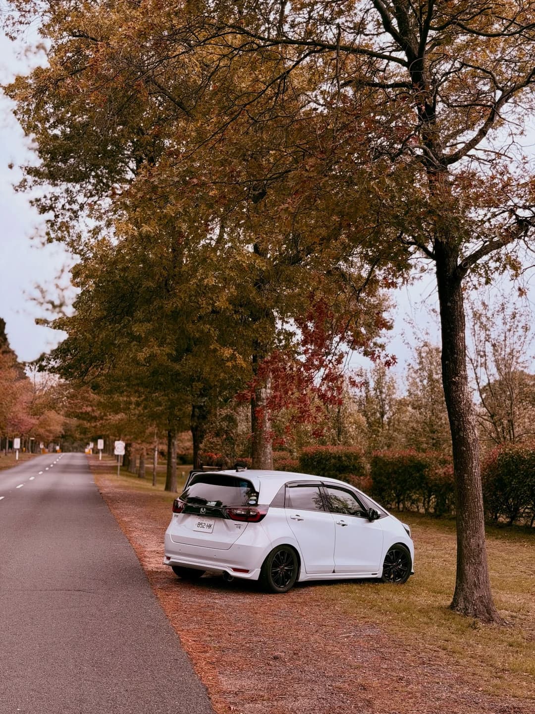 Autumn 5