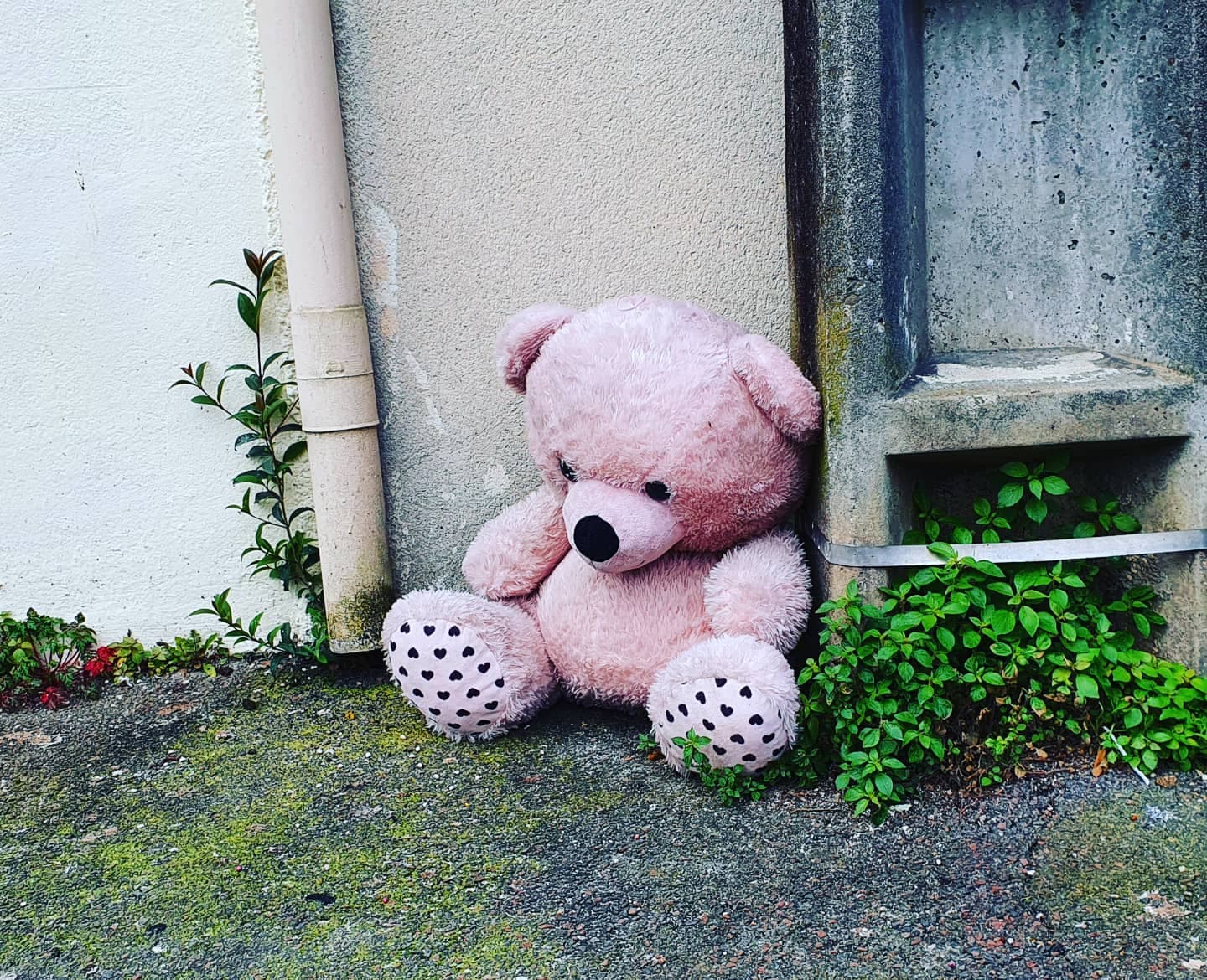 Heartbreak