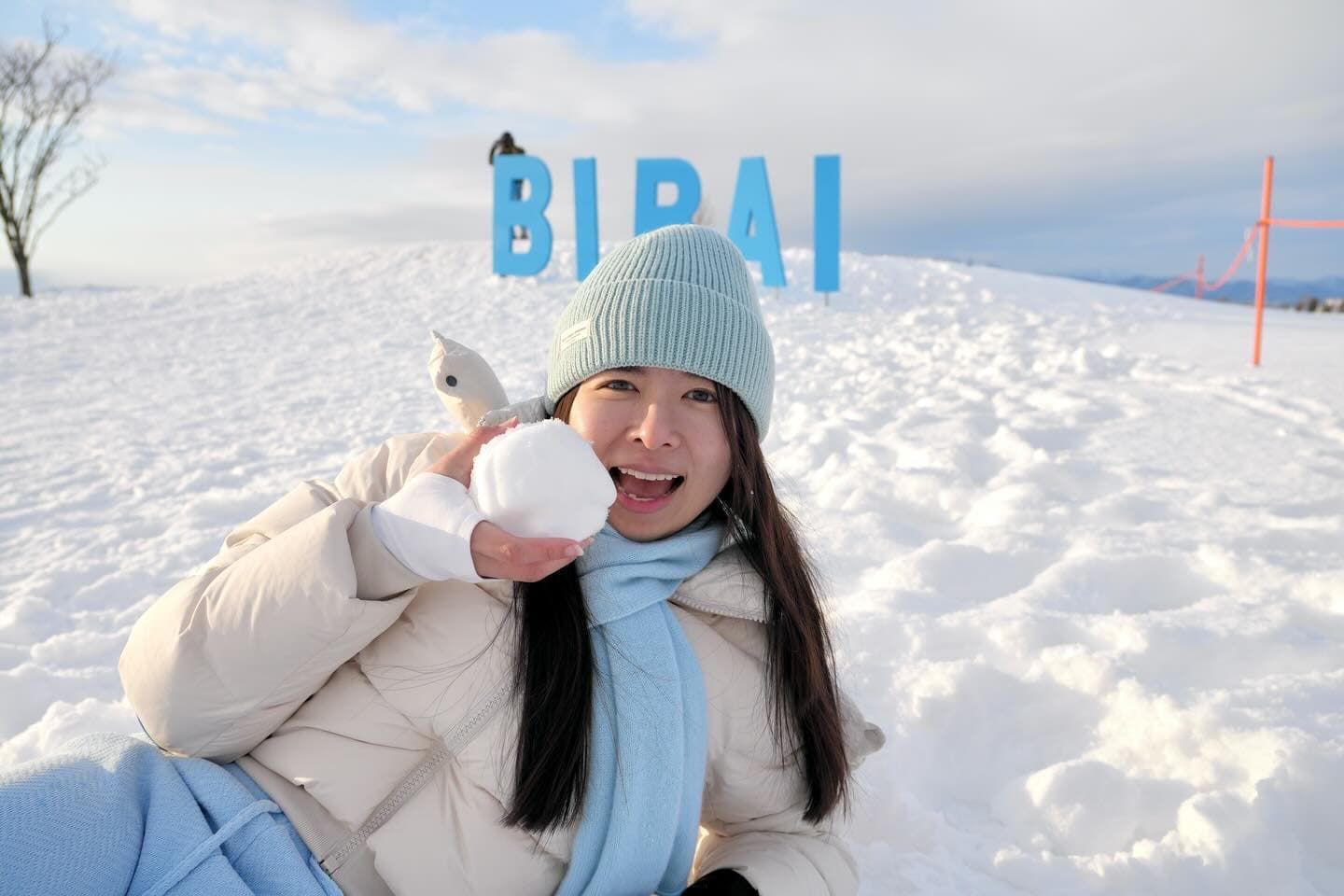 Snow Kingdom Adventures: