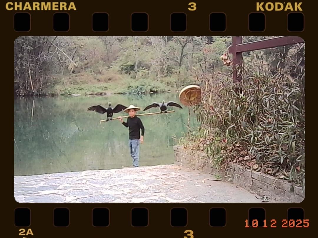 📸🎞️ 7