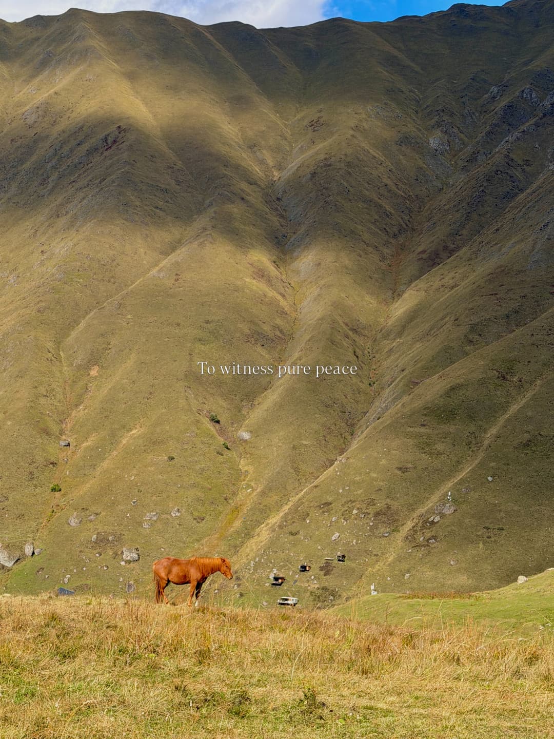 Map of Kazbegi Mountain Views 4