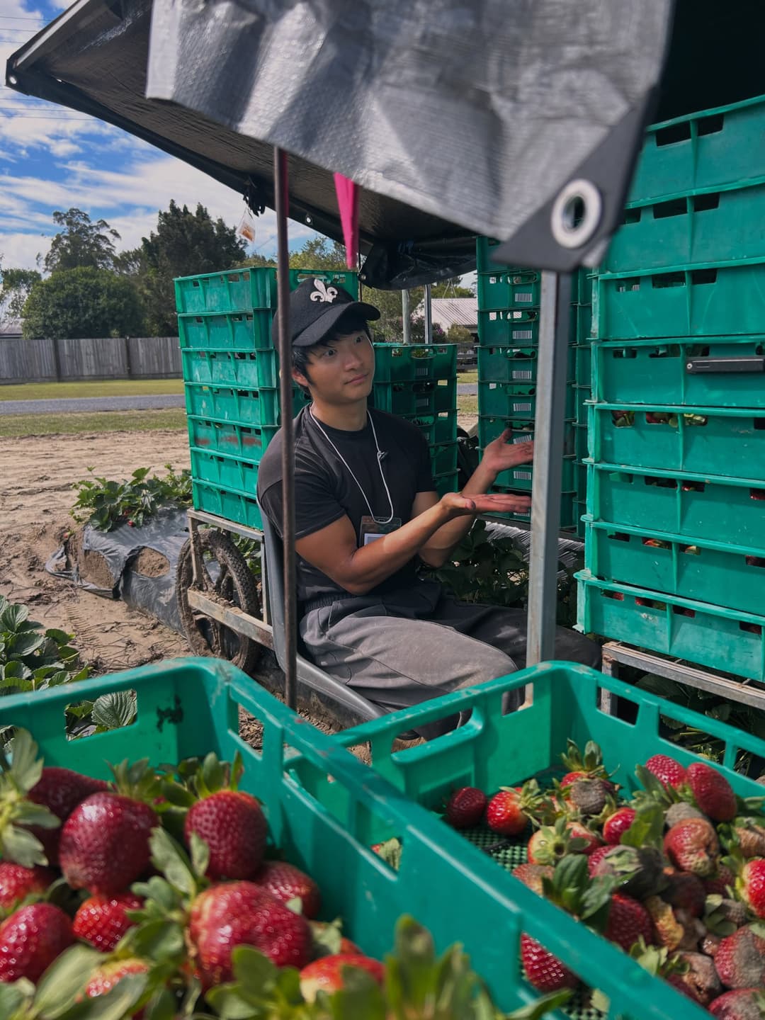 Strawberry farm graduation, grateful heart 2