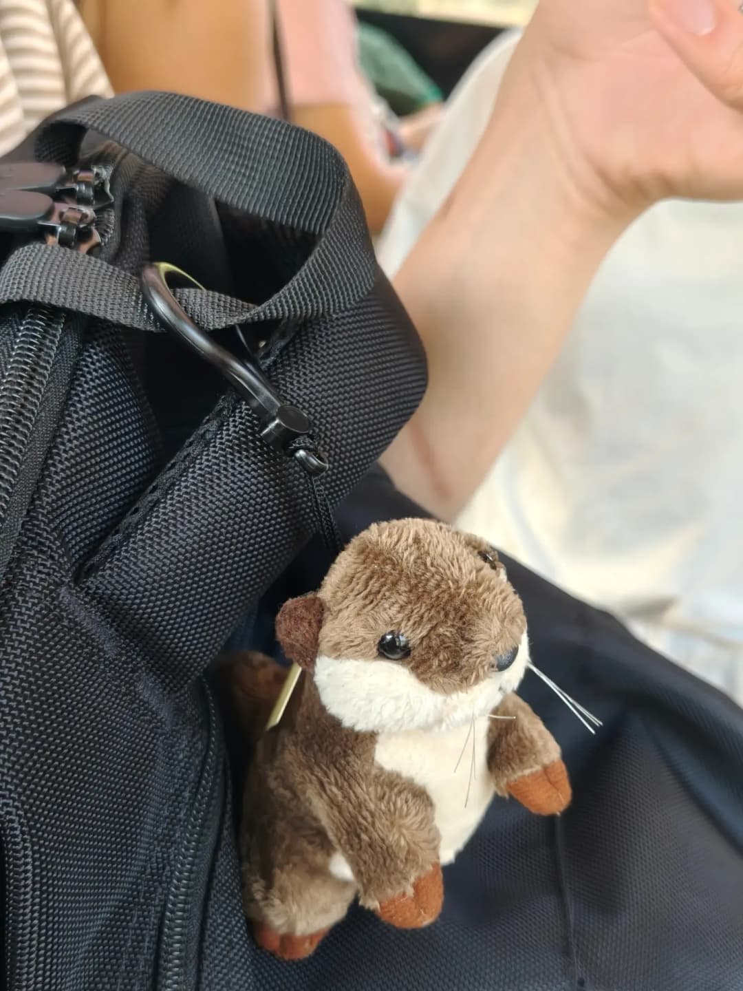 Go to see the animals ❌ Go to be seen by the animals ✅ 2
