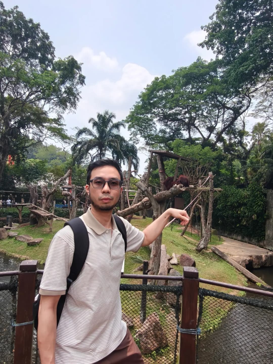Go to see the animals ❌ Go to be seen by the animals ✅ 6