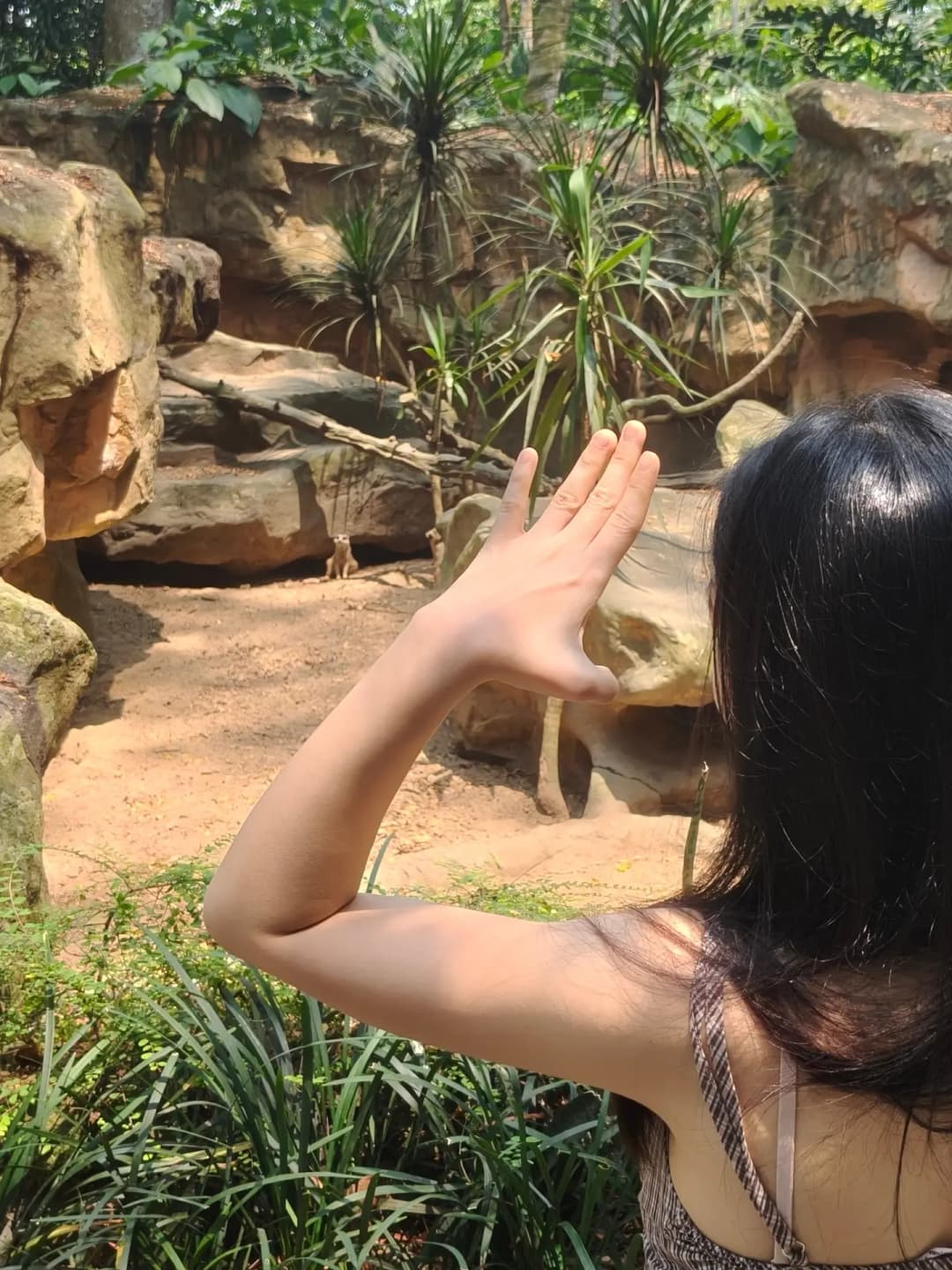 Go to see the animals ❌ Go to be seen by the animals ✅ 7