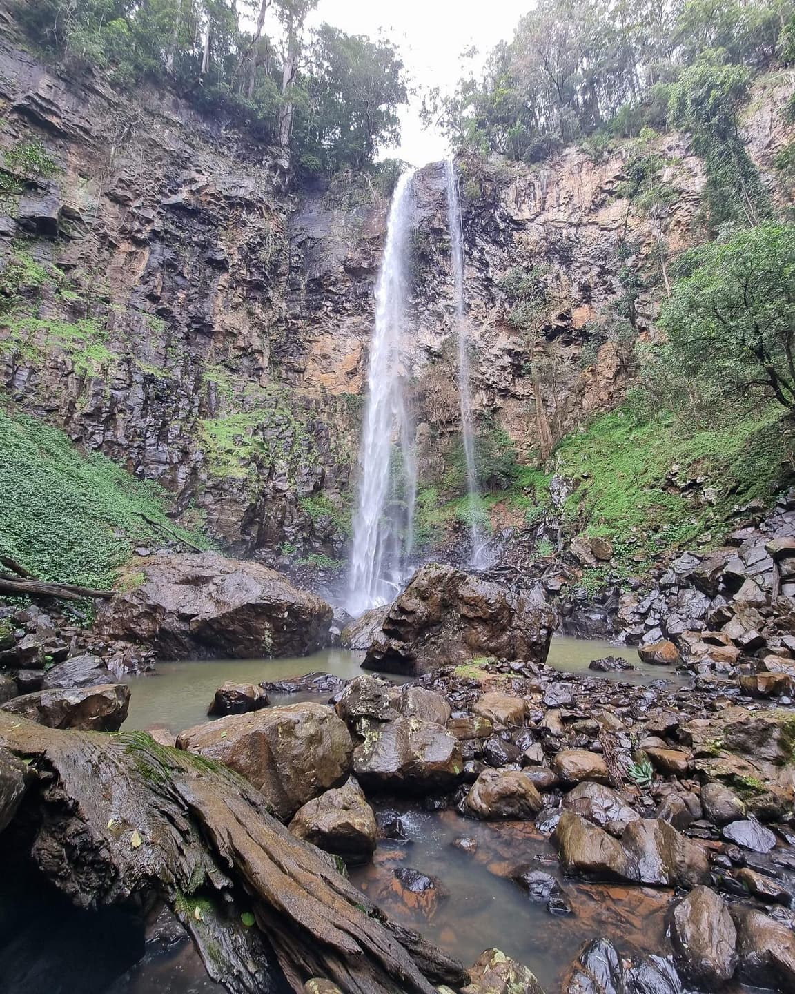 this weekend 🍃 4