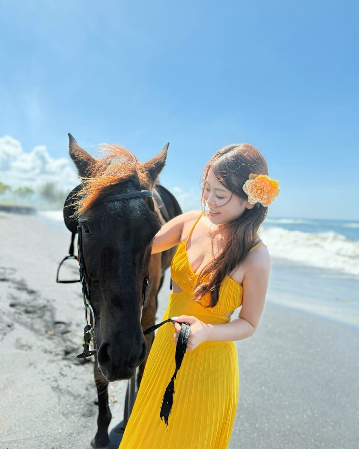 The horse's name is Angel 3