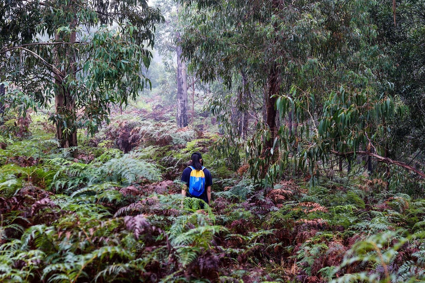 Hike Vic 🥾 2