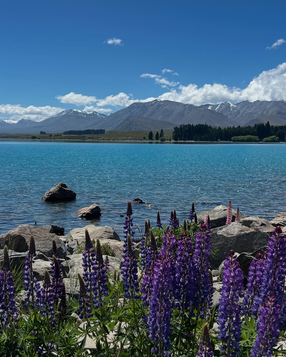 New Zealand Portraits, Part One 2