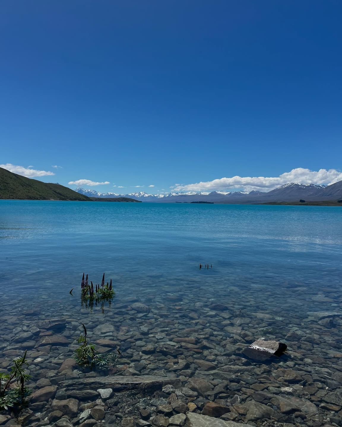 New Zealand Portraits, Part One 4