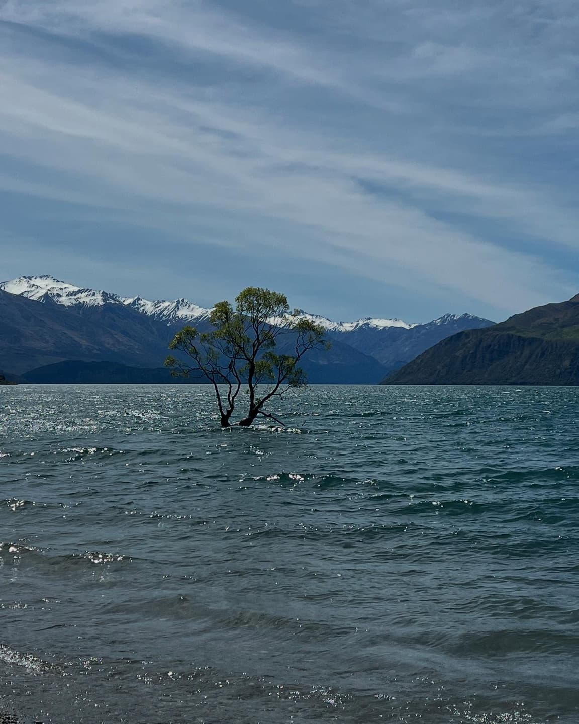 New Zealand Portraits, Part One 7