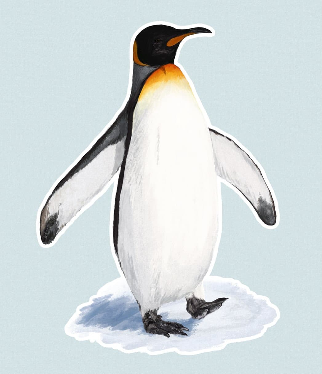 Penguins and art!