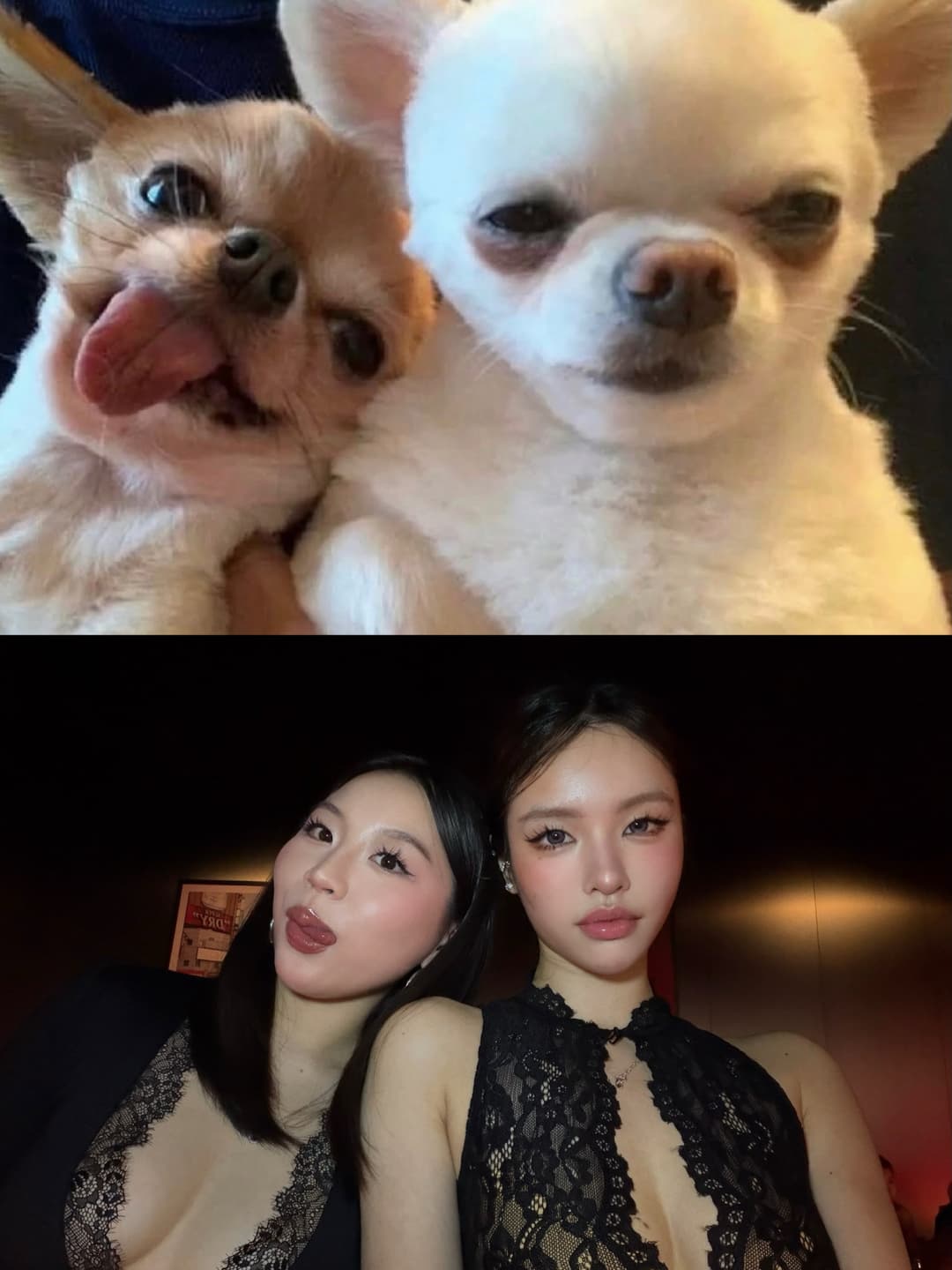 Bestie Duo Photo Ideas