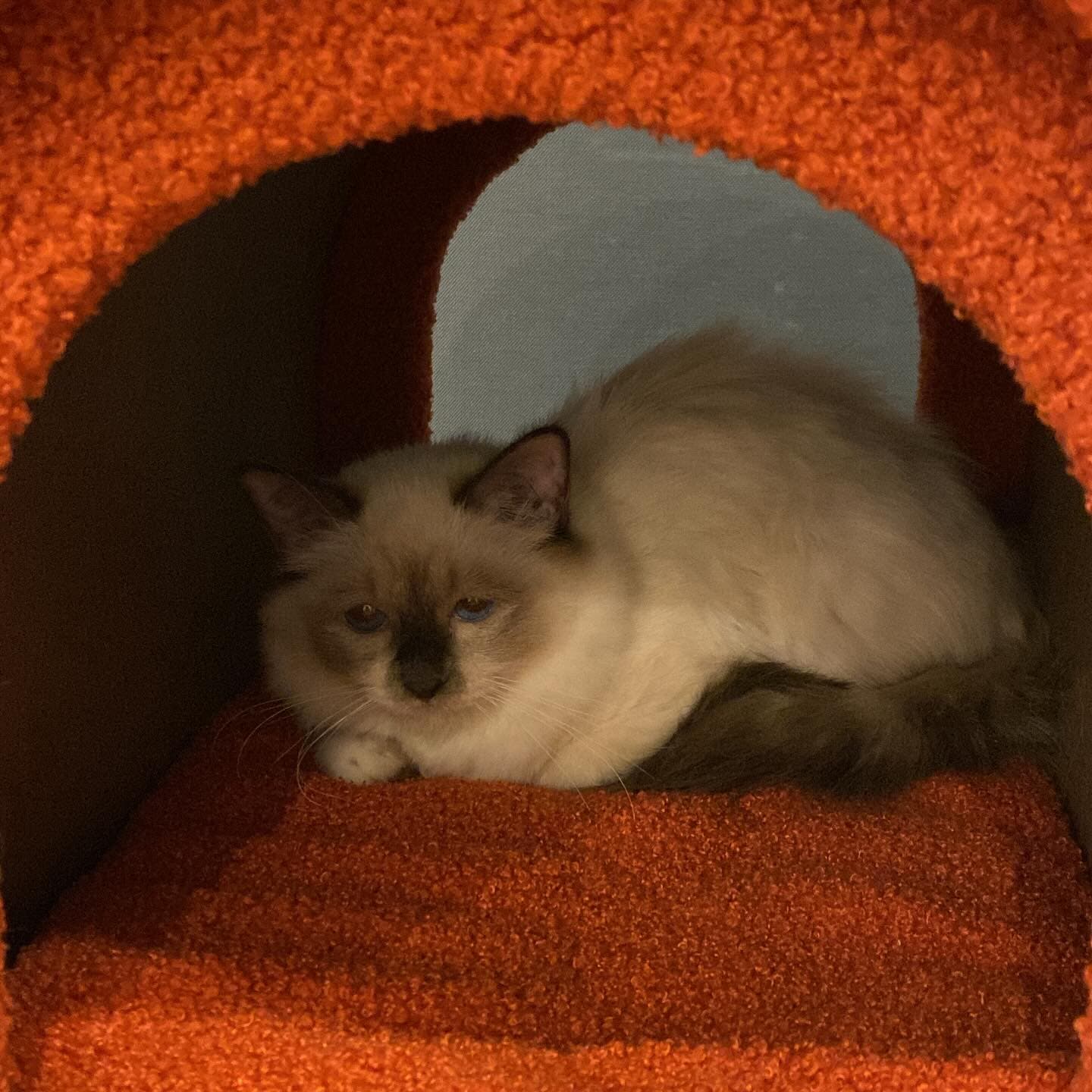 Elle'