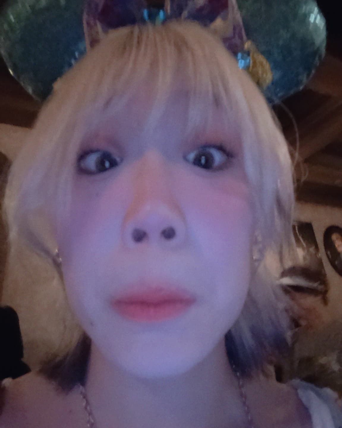 Disney Mischief Tour 4
