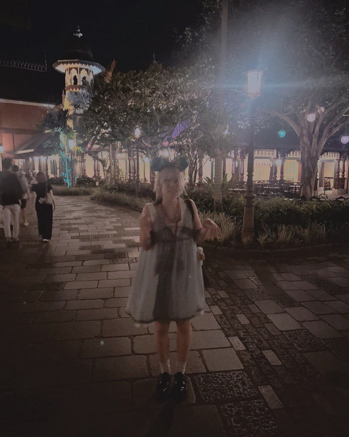 Disney Mischief Tour 7