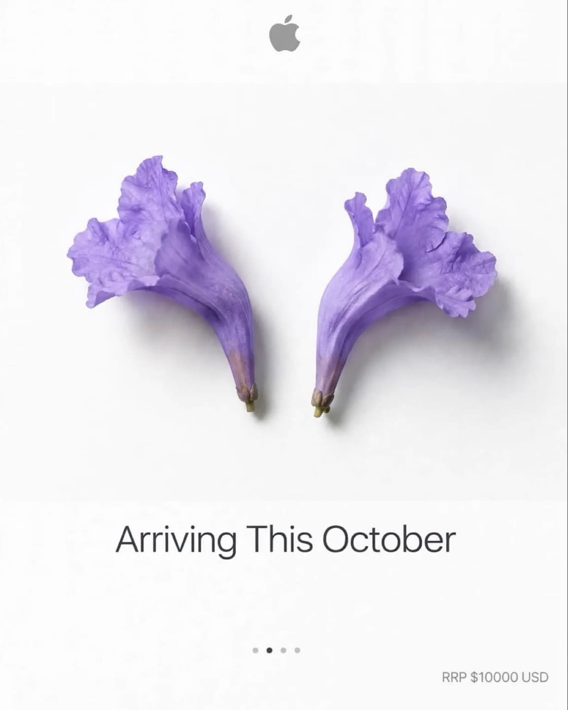 💜 🤍 🍎