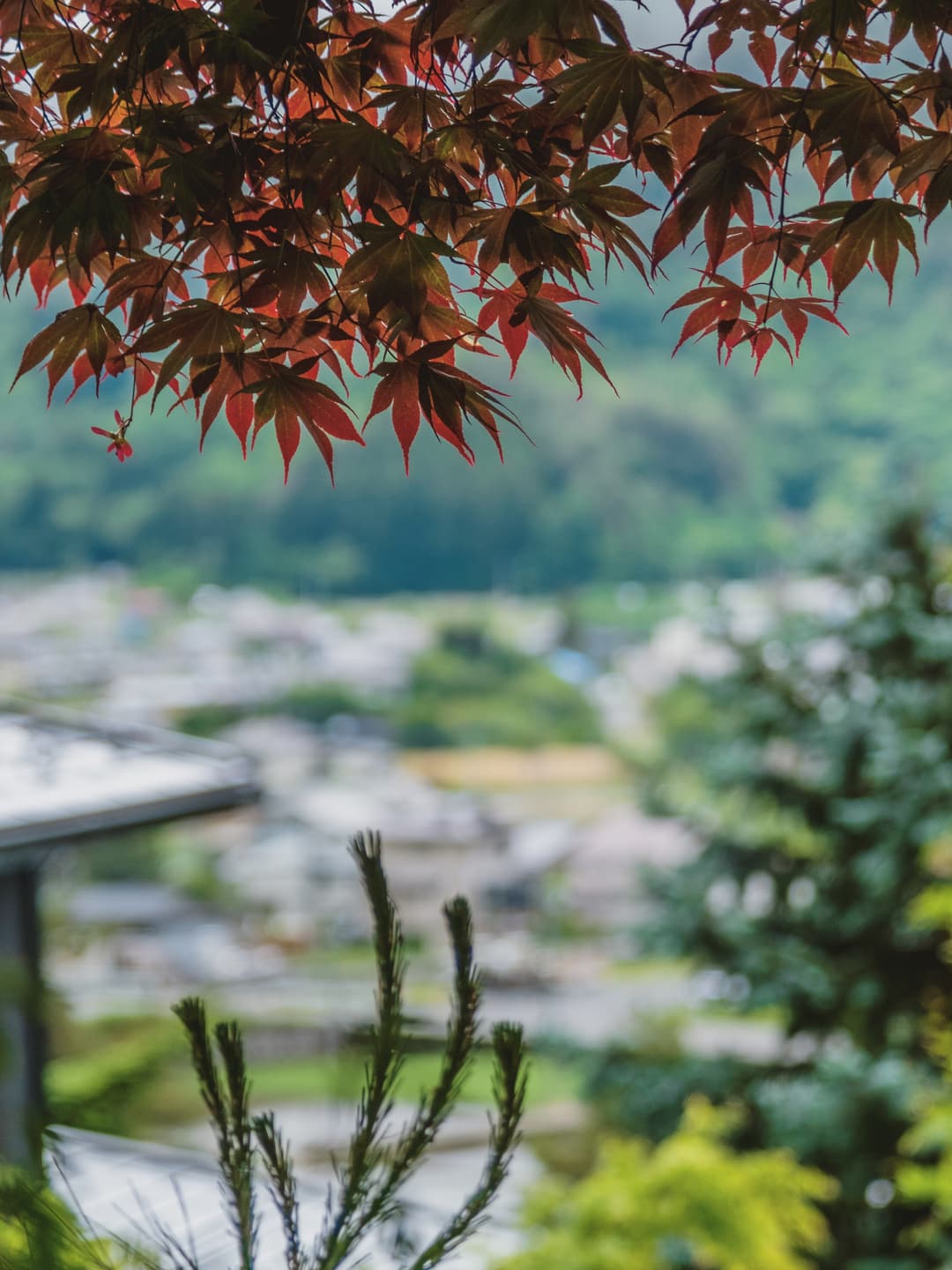 Fujikawaguchiko, Yamanashi: No Mount Fuji Today 8