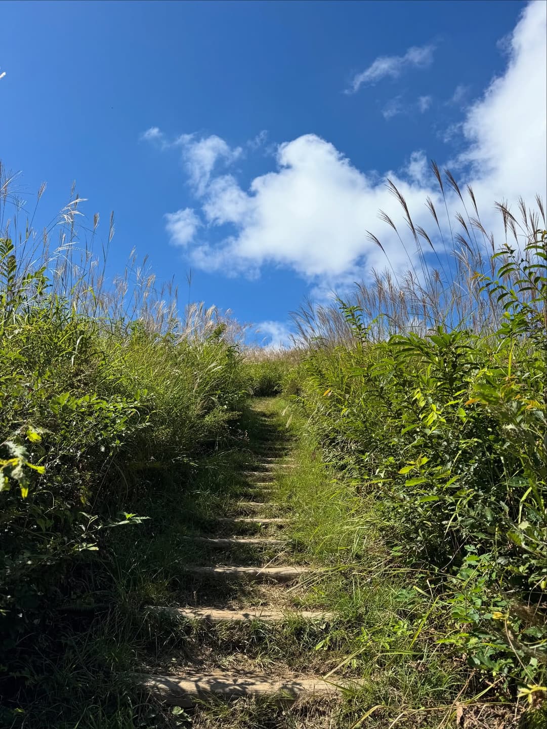 Mount Iwawo