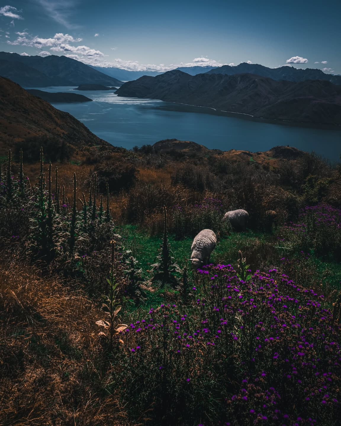 Lake Wanaka