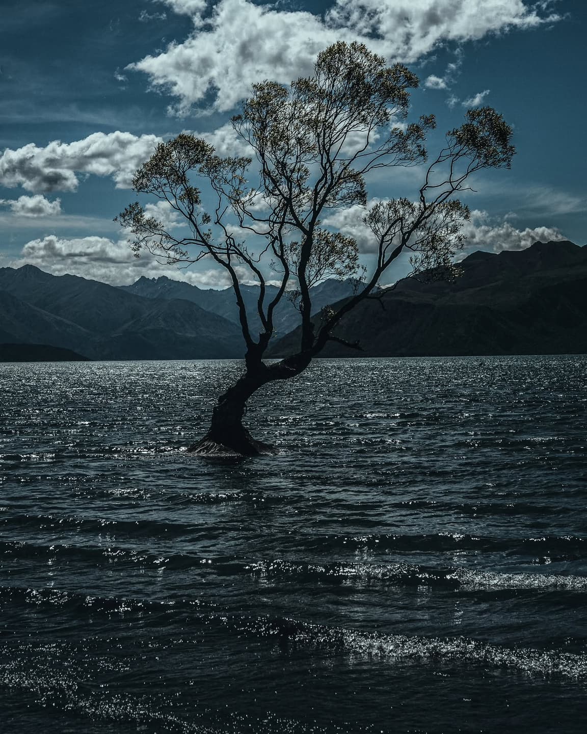 Lake Wanaka 3