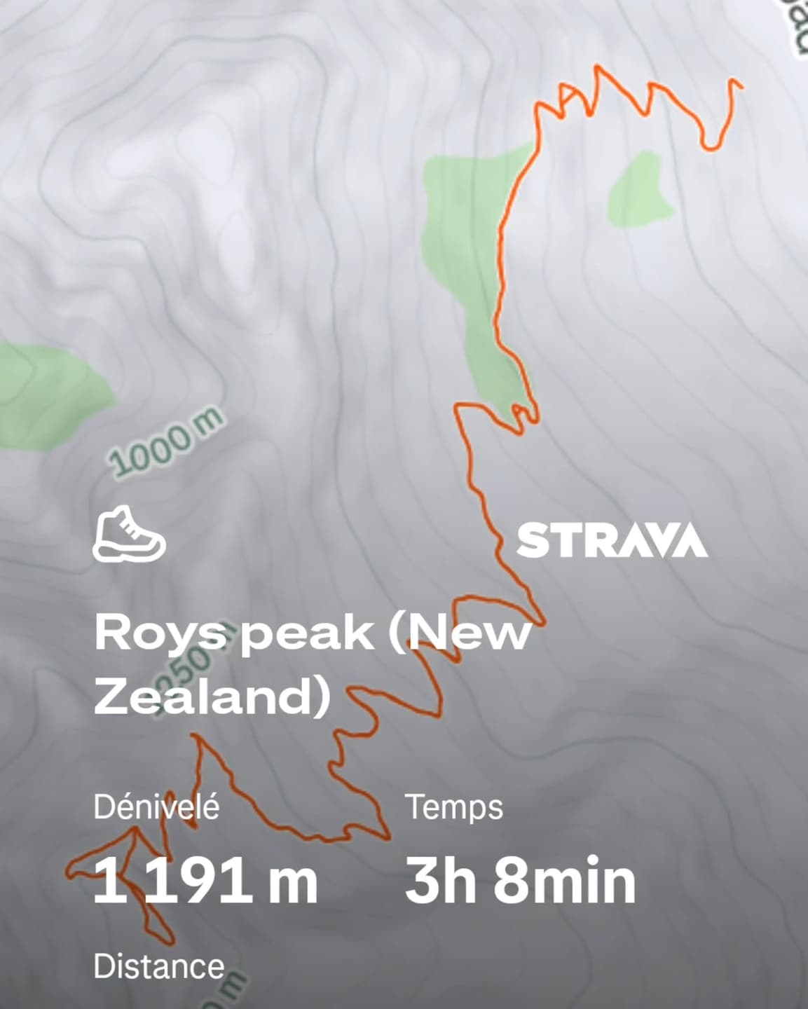 Lake Wanaka 4