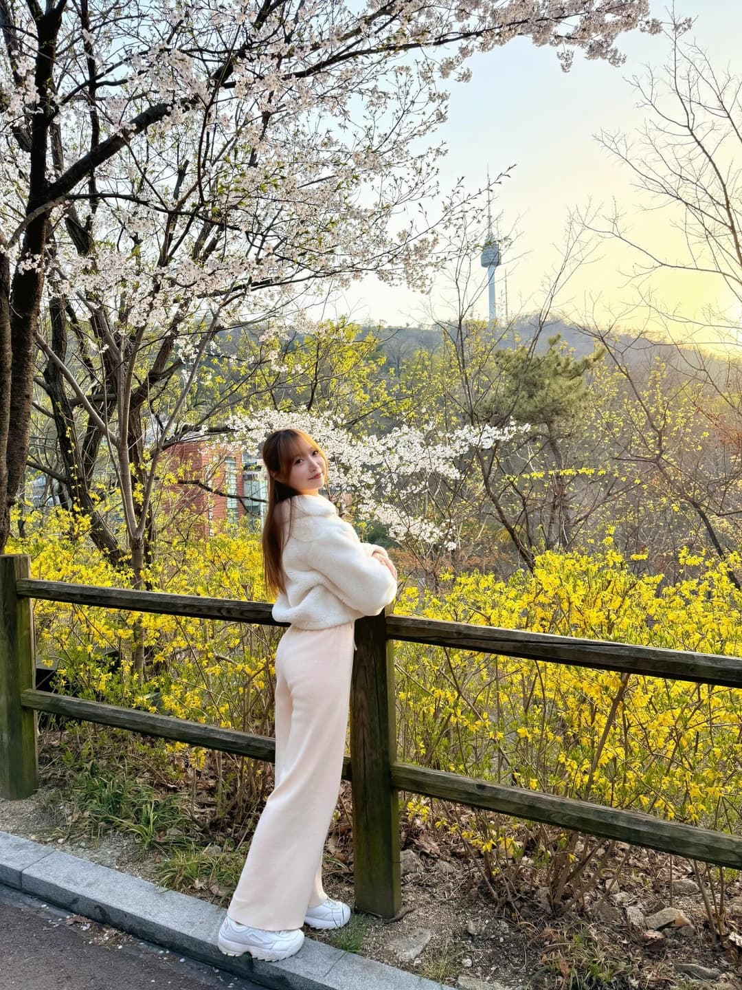 Seoul Cherry Blossom 5